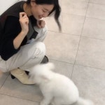 수지, 강아지도 반한 미소