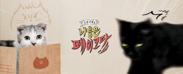 냐옹은 페이크다 입양 고양이 반환요청→제작진 사과→대화 중 [종합]