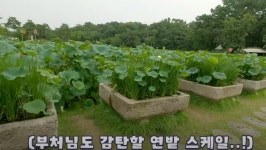 서경석이 아는 동생 집에 간 이유는?