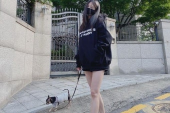 한예슬, 반려견 렐레의 낙상사고 후 공개…수술 성공, 입원 중 현황 공개