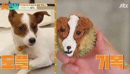 ‘펫키지’ 윤은혜, 태연 위해 ‘제로 컵케이크’ 만들었다... 황금손 인증[종합]