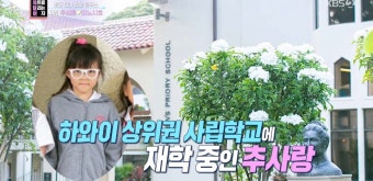 추성훈과 주우재, 오사카 2000평 대저택 방문 인터뷰 공개!