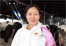 소 항문에 거침없이 팔 쑥, 대동물 수의사 일상...눈에 띄는 그녀들