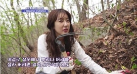 연봉 4억 女 심마니가 공개한 산삼 찾는 요령은?...눈띄그