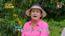 노주현 月 1000만원 보너스 받던 스타→생계 위해 밤무대 출연(같이삽시다)[종합]