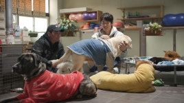 유연석, 슬기로운 수의사 생활...남다른 犬사랑으로 꾸준히 봉사 (동물농장)