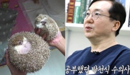 고도비만 고슴도치도 치료...특수 동물계 슈바이처의 등장 (동물농장)