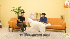 홍종현 반려견 닮았다는 말 들으면 기분 좋아 (보듬TV)