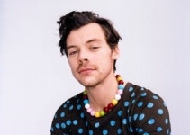 해리 스타일스, 콘서트 도중 물건에 맞아 부상…고통 호소 [할리웃통신]