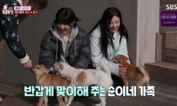 25년간 여행 포기한 부부...강아지 11마리 돌보고 있었다 (동물농장)