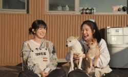 길냥이 강동원이 집에 들어와 안 나간다...동물농장, 잘생긴 고양이 추적