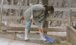 뉴진스 혜인, 일일 목장 체험...똥 푸다 현타