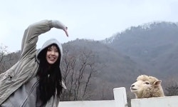뉴진스 혜인, 일일 목장 체험...똥 푸다 현타