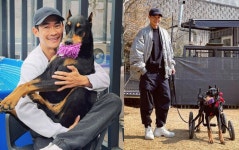 배정남 유일한 가족 벨, 전신마비...혼자 배변 못해 내가 빼준다