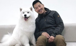 강형욱, 개훌륭 자료 화면서도 통편집...사라져버린 개통령 [종합]
