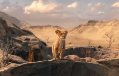 라이온 킹, 30년 만에 숨겨진 이야기 공개 [할리웃통신]