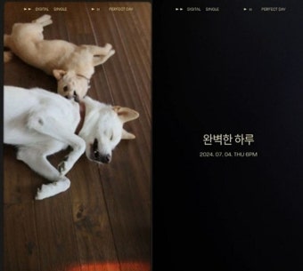 '이효리' 이상순, 3년 만의 신곡 발표...
