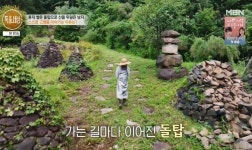 15년간 돌탑 500개+무료 산중 민박…子 먼저 보낸 그리움 때문 (특종세상)