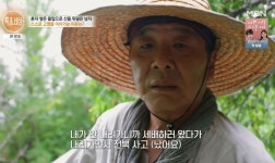15년간 돌탑 500개+무료 산중 민박…子 먼저 보낸 그리움 때문 (특종세상)