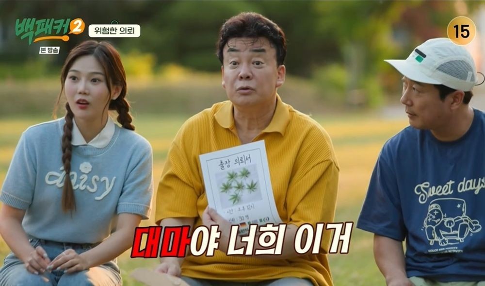 백패커2, 대마 특구에서 발견된 대마에 충격…백종원의 놀라운 반응