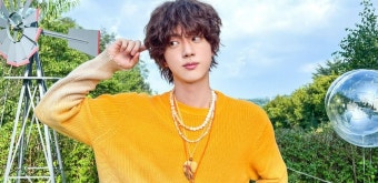 BTS 진은 '구찌 앰버서더', 슈가는 '음주운전'...상반된 행보 [종합]