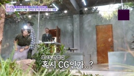 CG인가?…한혜진, 밀양 사계절 담은 밀양 멋집에 자동 박수 (동네멋집2)