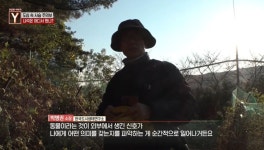 보초까지 섰다 광교 습격 사슴, 송아지 집 근처에서 포획된 이유는 (궁금한이야기Y) [종합]