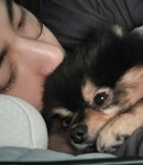 BTS 뷔, 군 복무 중 반려견 연탄이 떠내 보냈다... 강아지별에서도 행복해