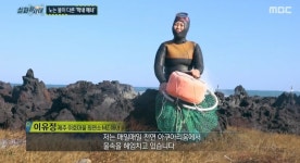 37세 막내 해녀, 서울 직장인→제주 이호마을 최연소 해녀 된 사연은 (실화탐사대)