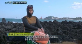 37세 막내 해녀, 서울 직장인→제주 이호마을 최연소 해녀 된 사연은 (실화탐사대)