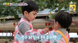 안영미 올해 둘째 계획 깜짝 발표vs박수홍 ♥아내는 원하지만 (슈돌)