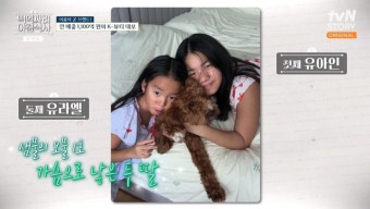 정샘물, 