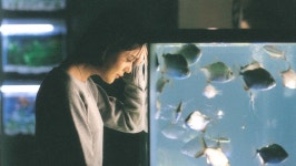 26년 만의 재개봉 쉬리…미리 알고 보면 더 좋은 명장면 3