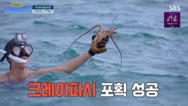 딘딘, 이준 저격러 등극 다 패션 근육…다리부터 허접하네 (카리브밥)