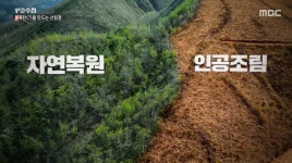 영남 덮친 역대급 산불… 사실은 산림청이 피해 더 키웠다? (PD수첩)