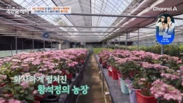 황석정, 1000평 농장 적자…3년 반 운영, 땅값도 안 올랐다 (4인용식탁)