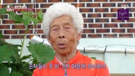 가정집 천장 위 정체불명 소음… 뜯어봤더니 벌 수천마리가 (TV 동물농장)