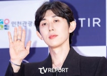 코쿤 