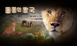 동물의 왕국 성우 故 이완호, 암 투병 중 사망…벌써 6년 [RE:멤버]