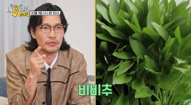 탈모·정력에 좋다 최귀화, 잡초까지 씹어먹었다 (과몰입클럽)