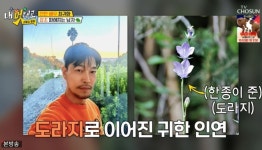 폭군 빌런 최귀화, 섬에 농장 있었다 잡초 재배하려 땅 매입 (과몰입클럽)