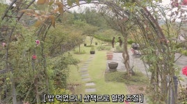 차범근 이렇게 사는구나…'차세찌' 한채아, 고흥 시댁 자랑했다 [RE:뷰]
