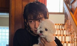 차은우, 유령회사 의혹에 지자체 현장조사…미등록 영업 적발