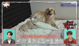 동물 구조 이강태 동물 치료비 年 2억 이상…구조 제보 천 건 (전참시)