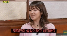 소시 효연 