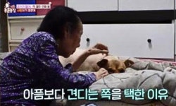 가족과 이별로 안방은 눈물바다…최고 시청률 4.7%→동시간대 1위 기록한 韓 프로그램 (동물농장)