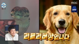 차우민, 4년 간 키운 반려뱀 공개 