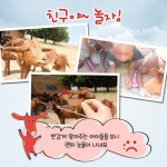 [카드뉴스] 빨간염소의 여행