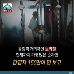 [카드뉴스] 임신부, 리우 올림픽 오지 마세요