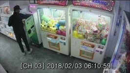 1주일 새 5건 전남 AI 확산세…살처분 60만 마리 넘어서